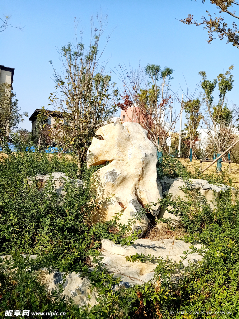 自然风景
