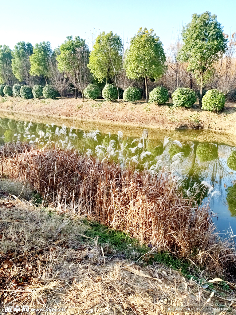 自然风景
