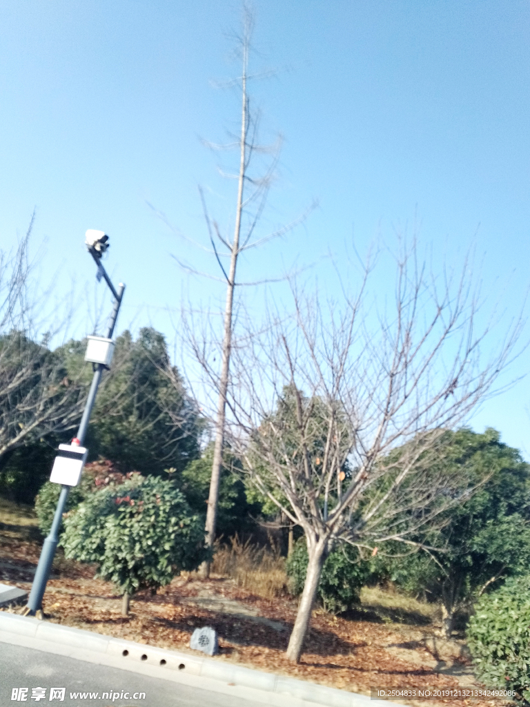 自然风景