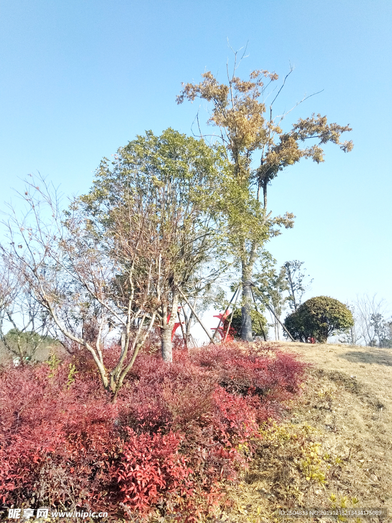 自然风景
