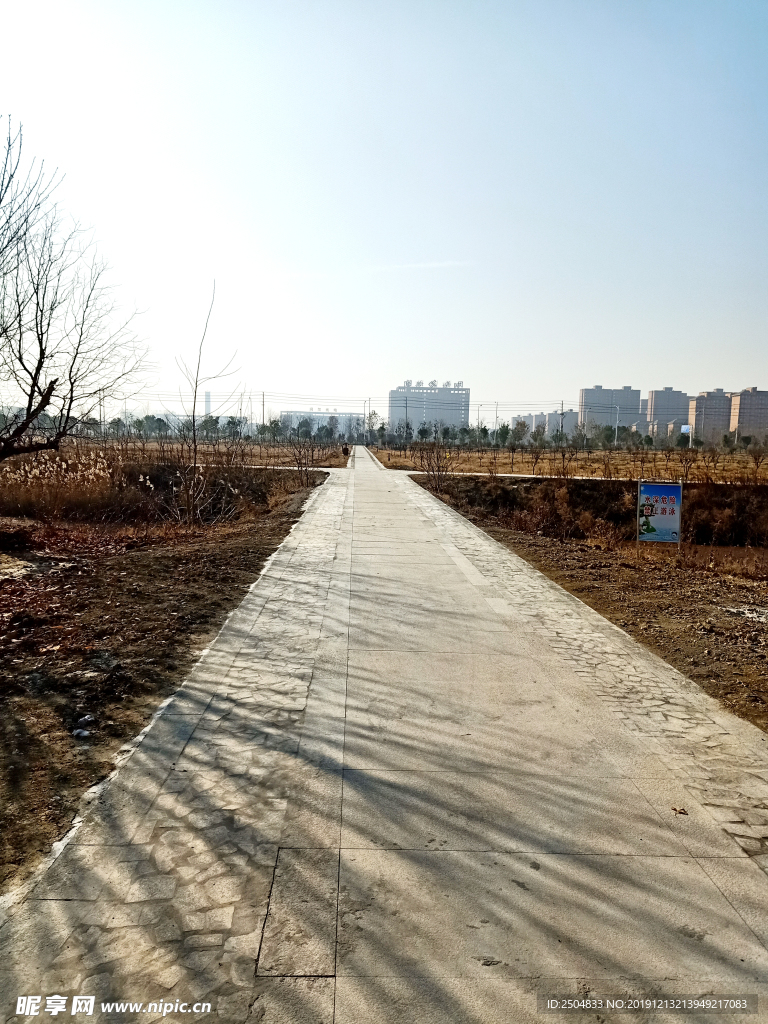 自然风景