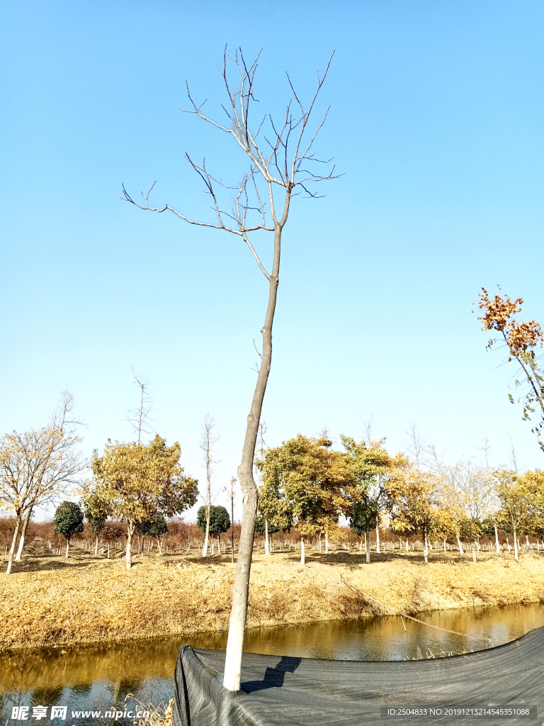 自然风景