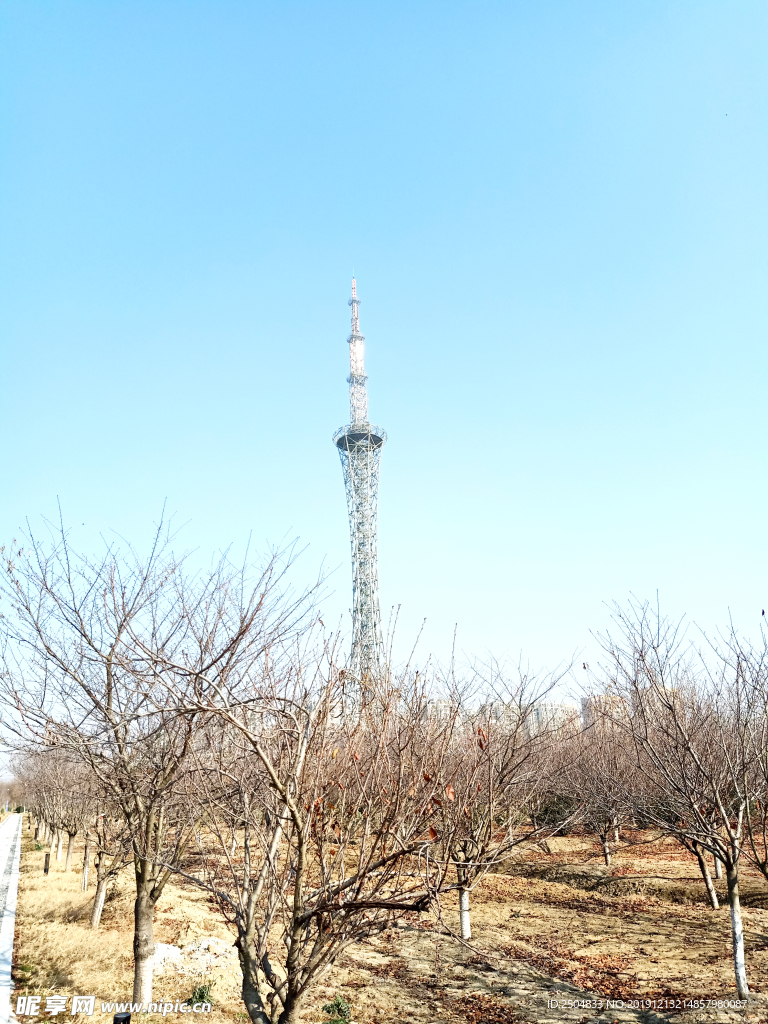 自然风景