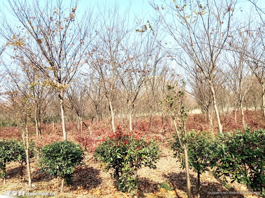 自然风景