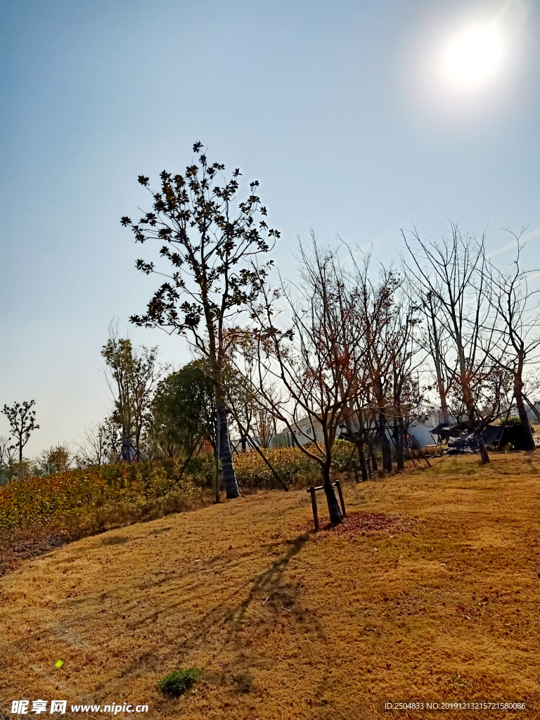 自然风景