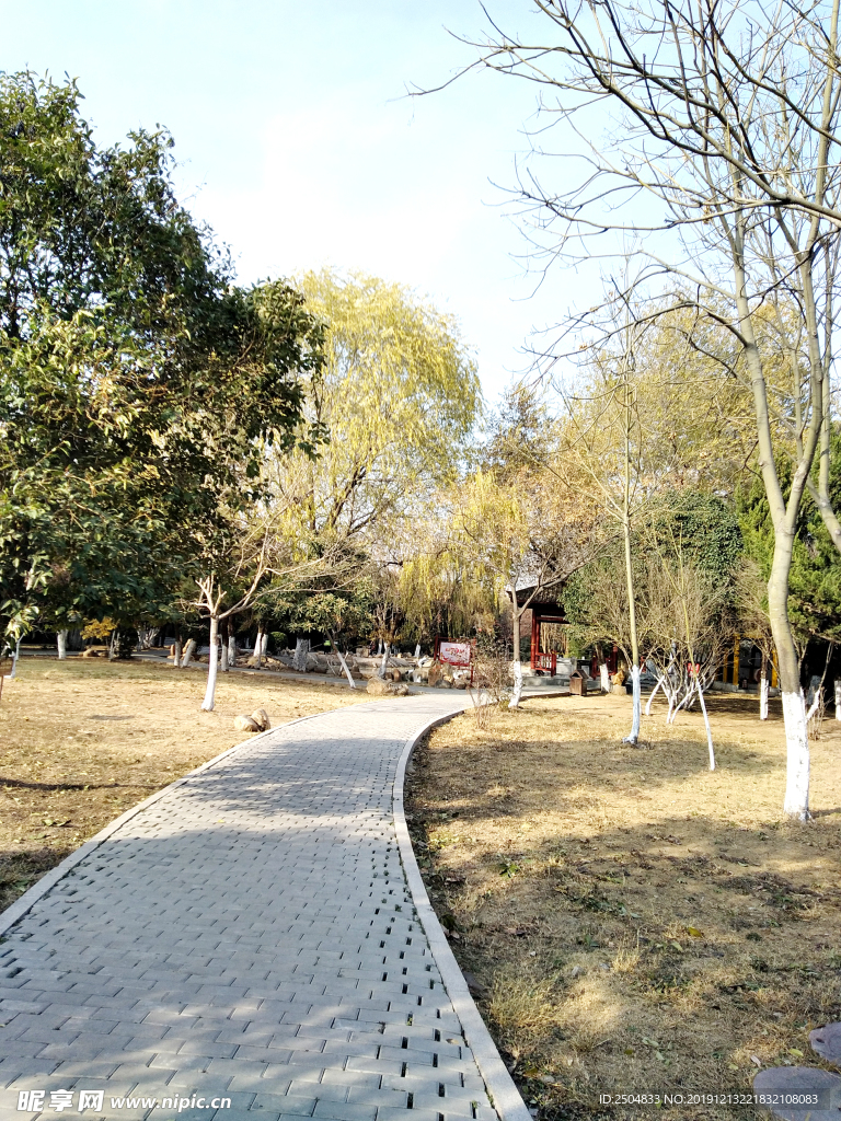 自然风景