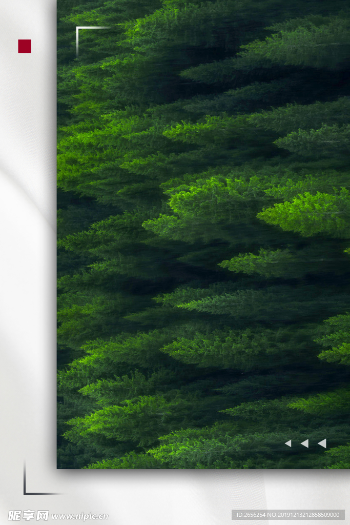 创意森林背景