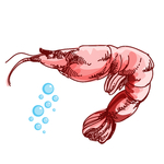 皮皮虾