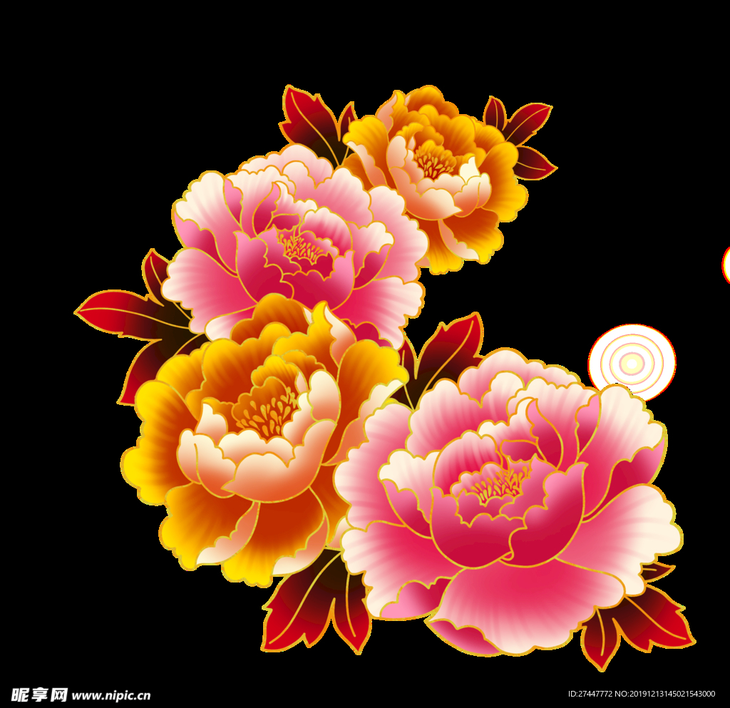 牡丹花