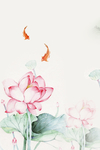 中国风荷花