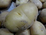 土豆