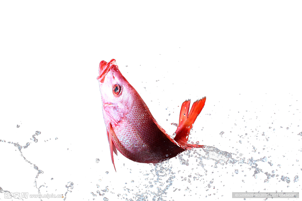 水花免扣