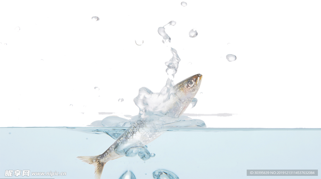 水花免扣