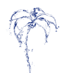 水花