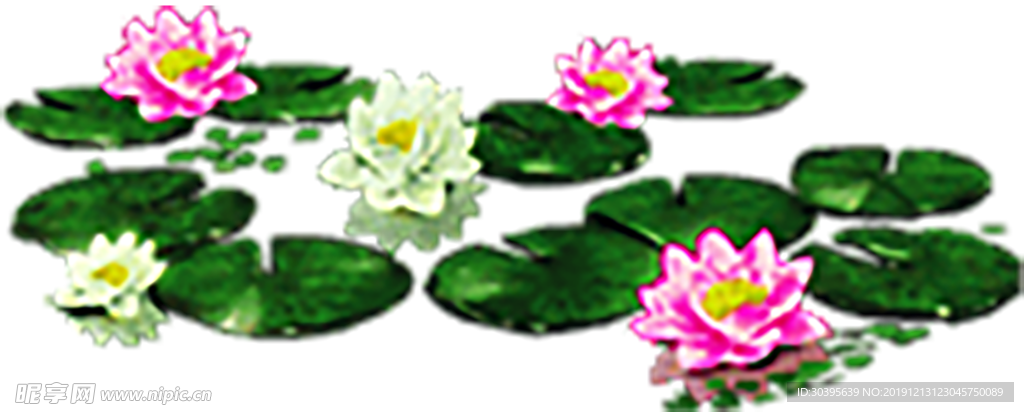 水花