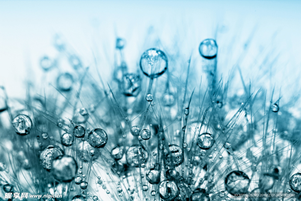 水花