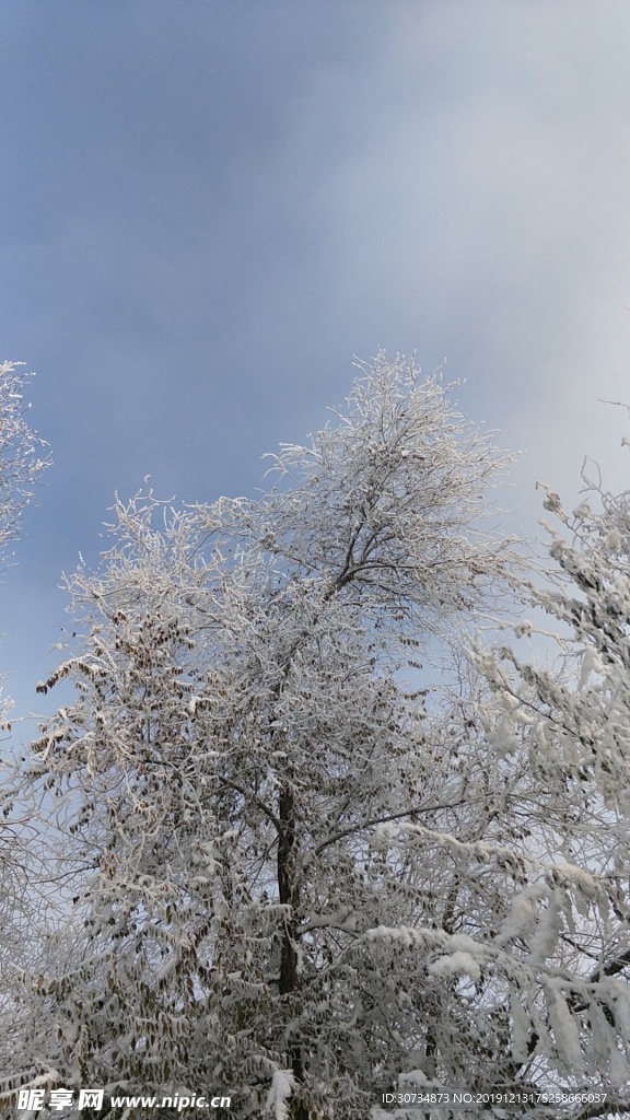 冬季的雪