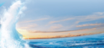 大海