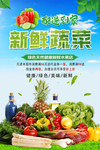 蔬菜海报