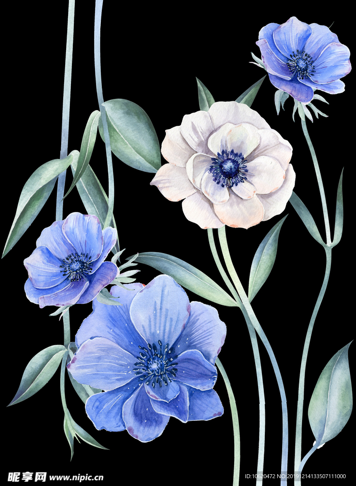 花儿