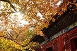 中国传统古建筑