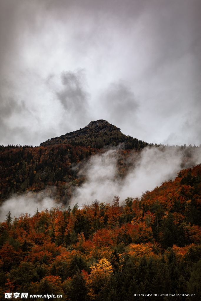 山脉与山林