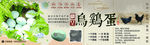 乌鸡蛋