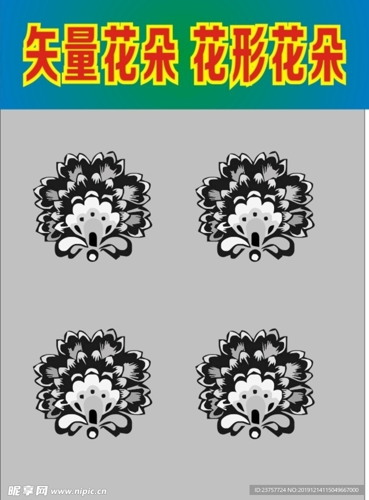 花瓣花朵花
