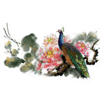 手绘花草  牡丹花园    元