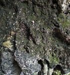 石头 表面 岩石 纹理 石壁