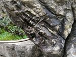 石头 表面 岩石 纹理 石壁