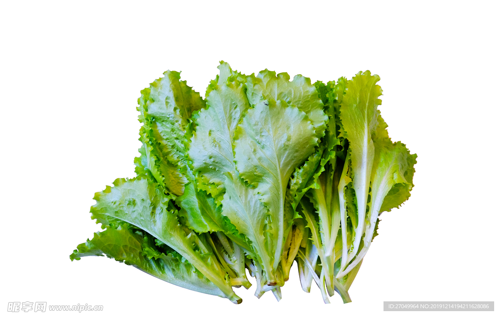 青菜，生菜