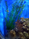 水族馆