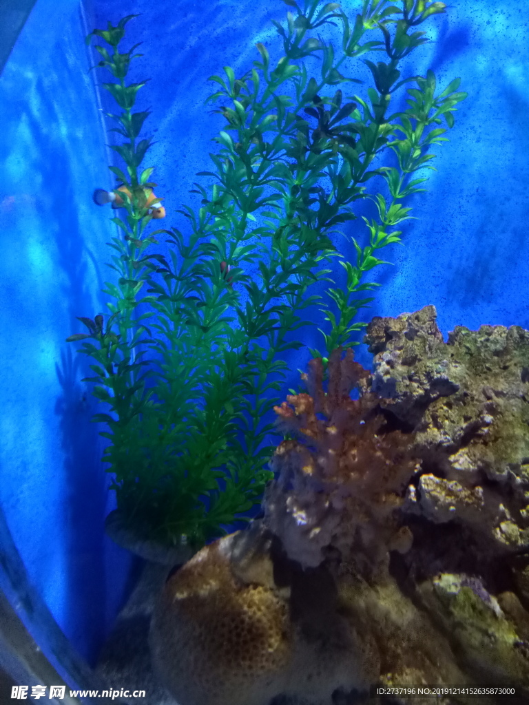 水族馆