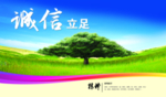 榕树