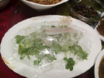 河豚鱼片
