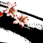 装饰画