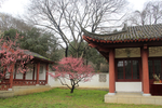 仿古建筑