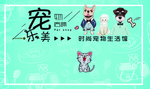 宠物名片