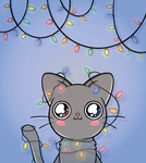 可爱猫咪
