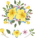 手绘鲜花