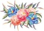 手绘鲜花