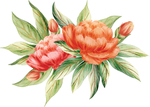 手绘鲜花