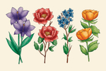 手绘鲜花