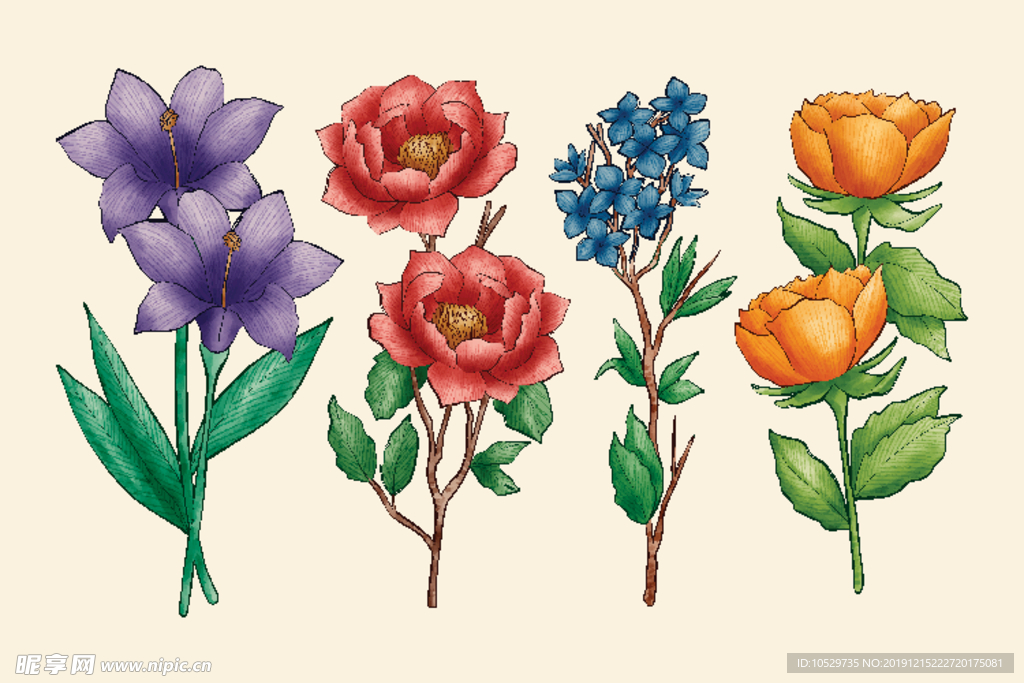 手绘鲜花