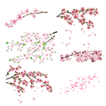 梅花