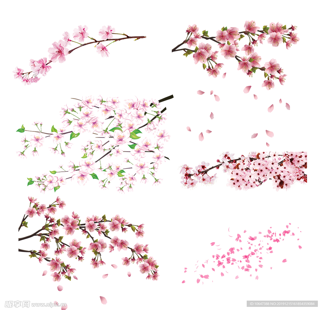 梅花