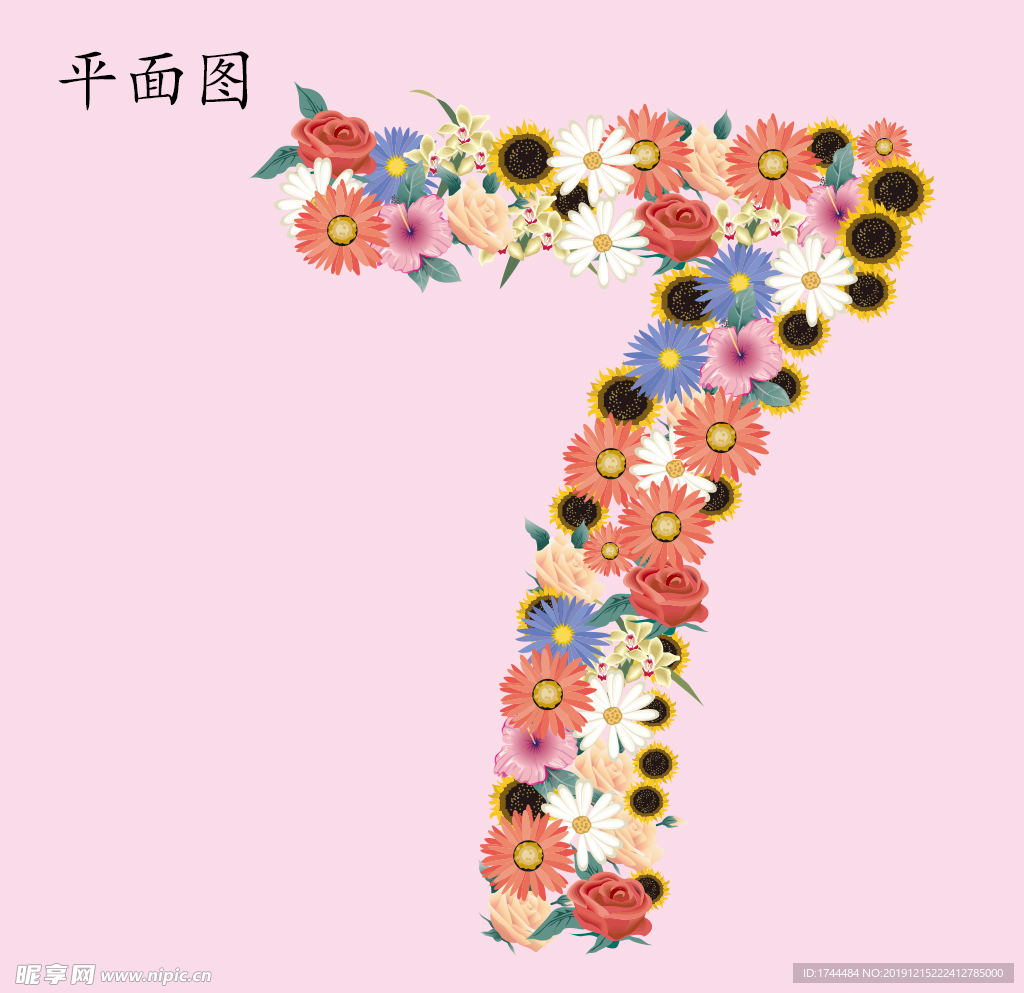 花的数字7