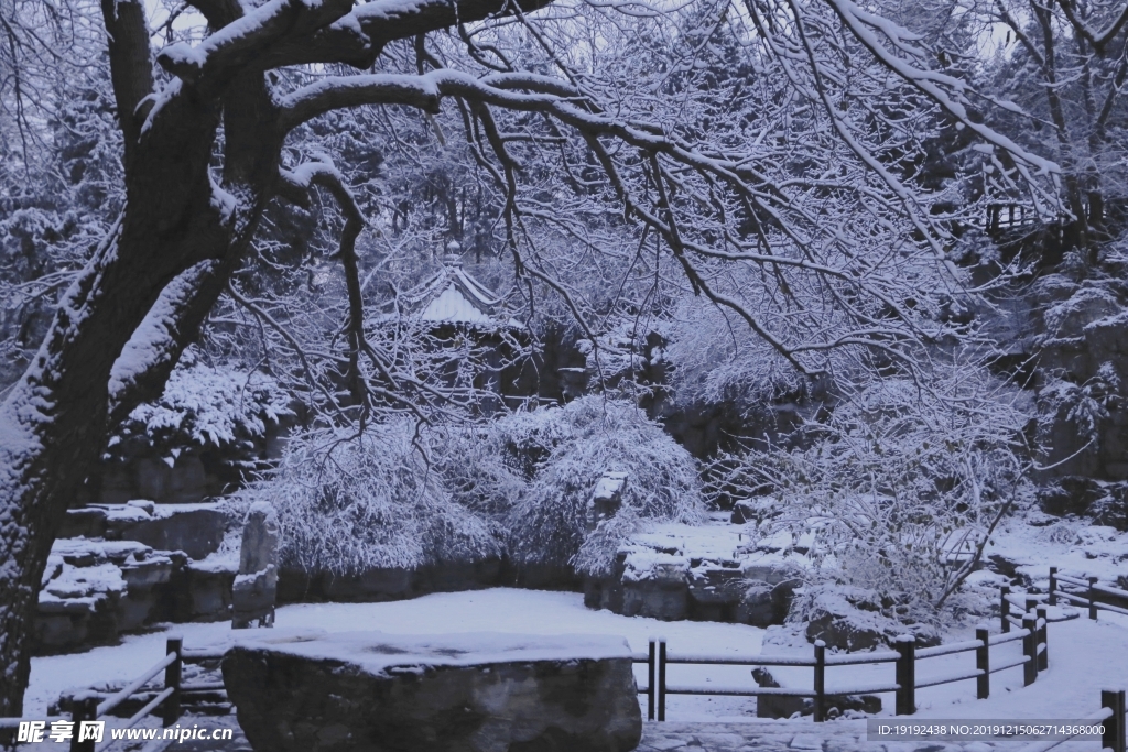 冬日初雪