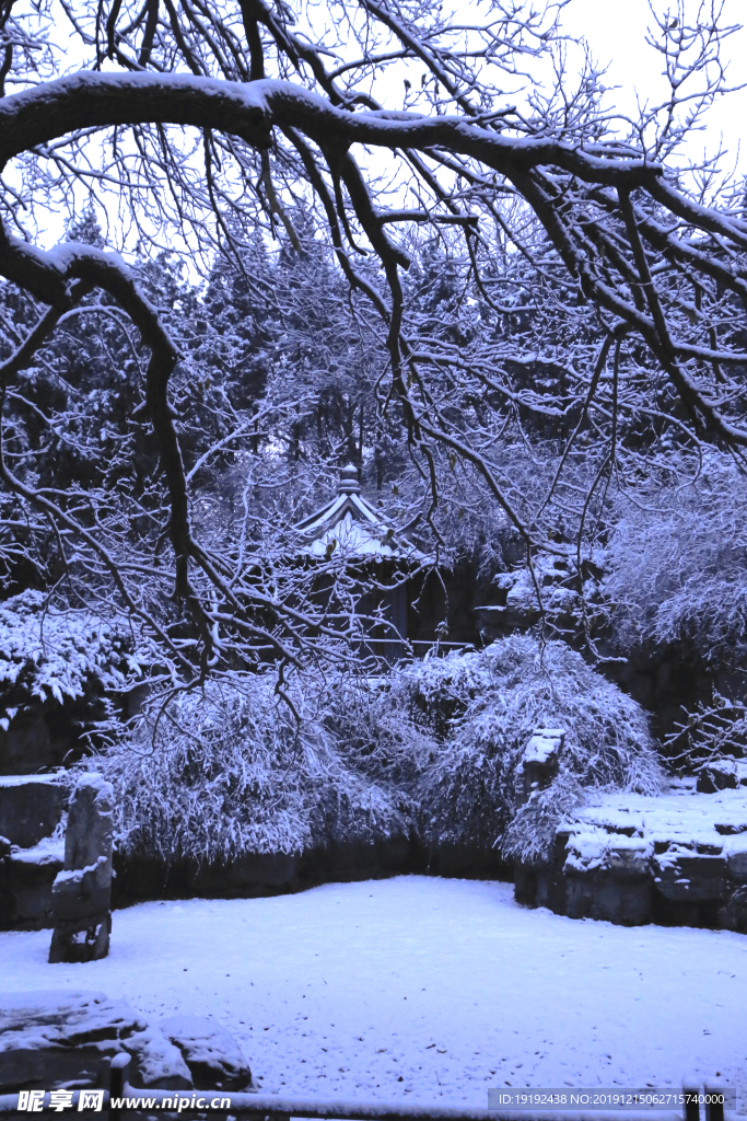 冬日初雪